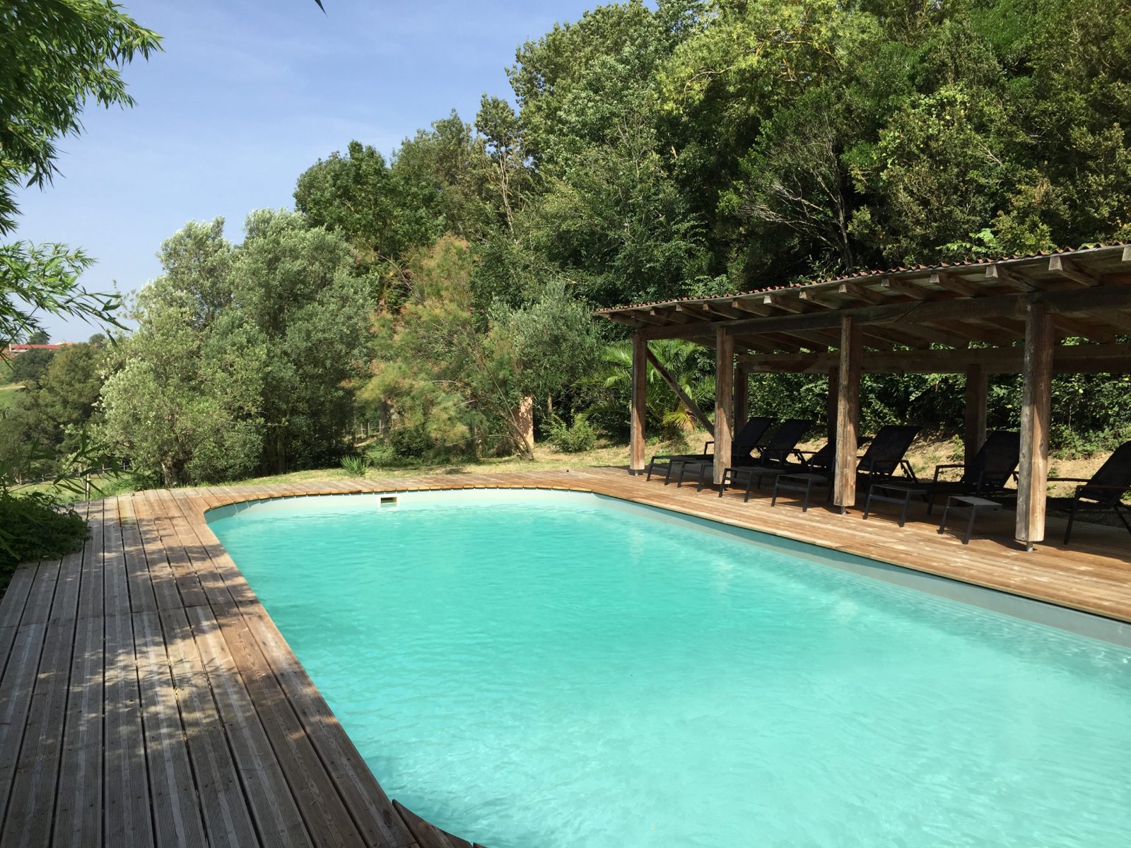 Piscine du domaine avec terrasse en bois et vue sur la végétation